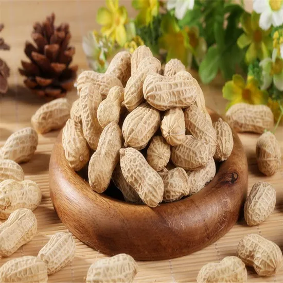 Wholesales Fried Peanut Without Red Skin 29/33 41/51 61/71 for Food