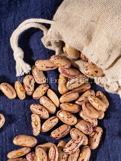 Wholesale Dried Light Speckled Kidney Beans (ROUND SHAPE) 170-180 for Food