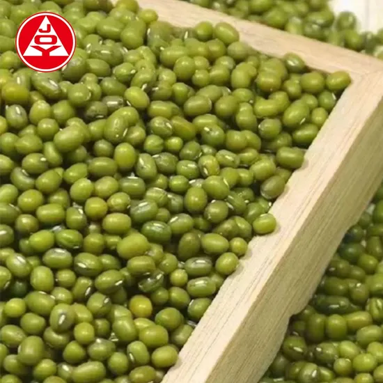 High Quality Freeze Dried Green Premium Mung Beans 5.0mm From Chinese Factory