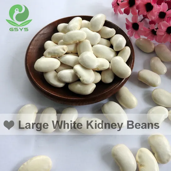 Chinese Large White Kidney Beans