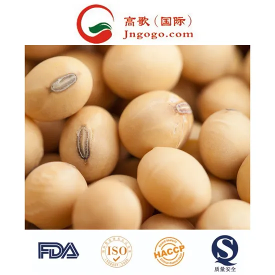 China Permium Quality Yellow Soybean for Exporting Grade