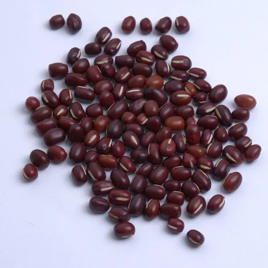 Nutritious and Tasty Exported Rice Bean High Yield Small Red Bean