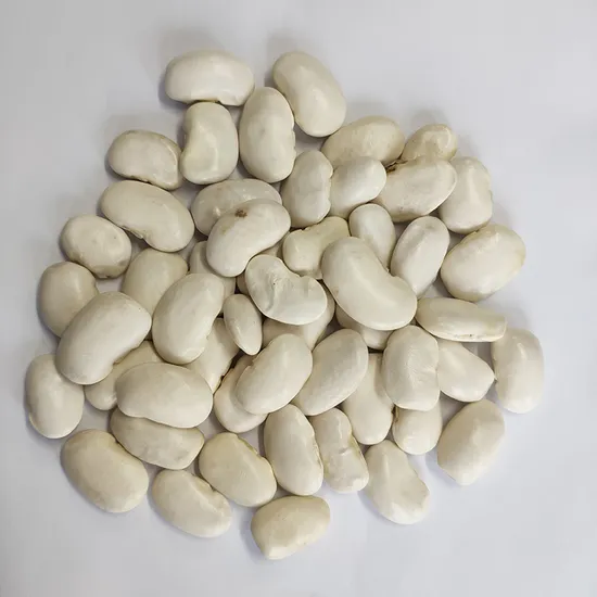 Exporting Top Quality Large White Kidney Beans