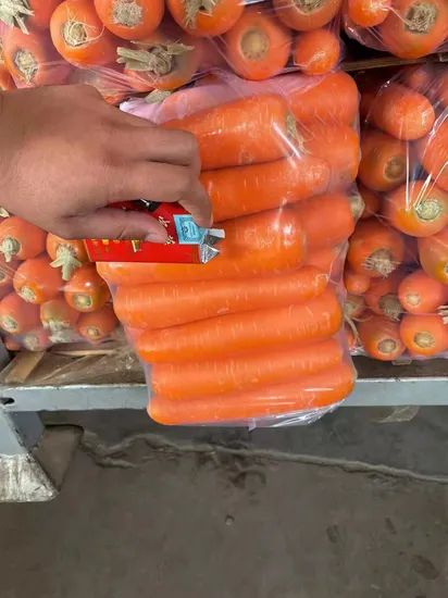 New Crop Fresh Vegetable Carrots Wholesale Cheap Price