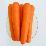High Quality Newly Produced Carrot in 2024