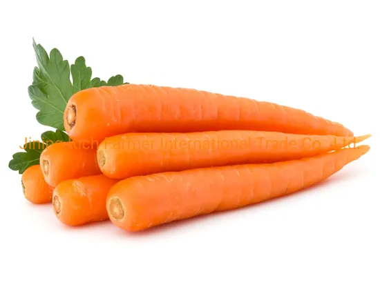 China Carrot Size S Packing in Carton Inside Plastic Bag