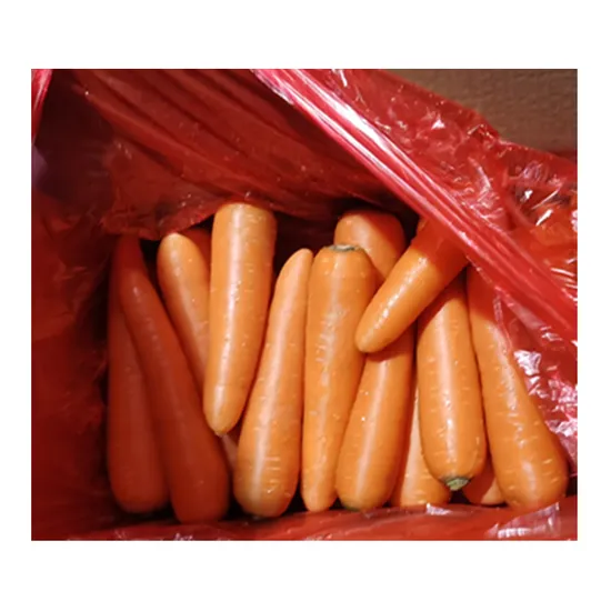 4kg Carton Box Package Size S Fresh Carrots Export to Dubai