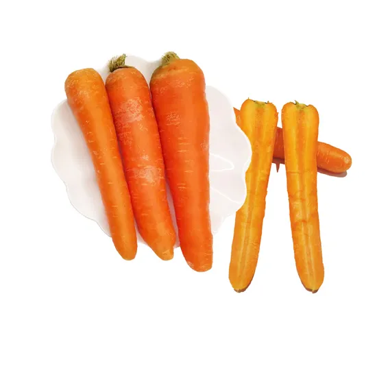 Chinese New Crop Sell Fresh Red Yellow Washing Carrots