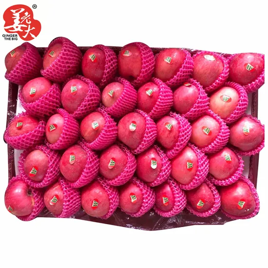 2020 Fresh Fruit Red FUJI Apples From China