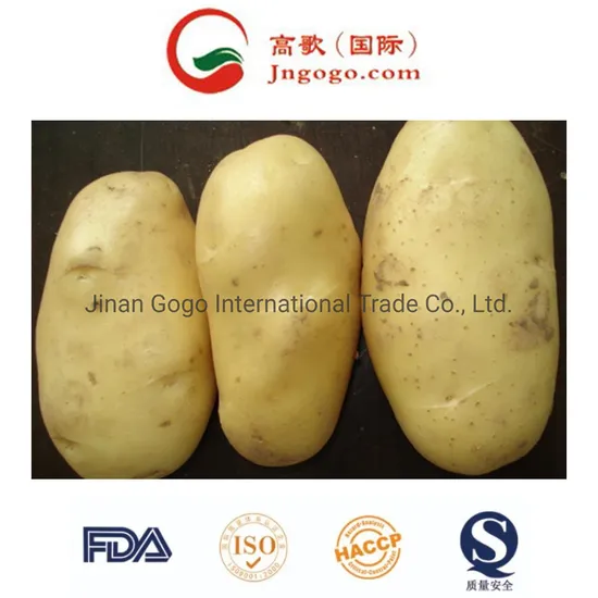 Gogo Food Potato for Global Market