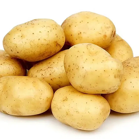 New Crop Fresh Potatoes Yellow Professional Export Wholesalers Fresh Pringles