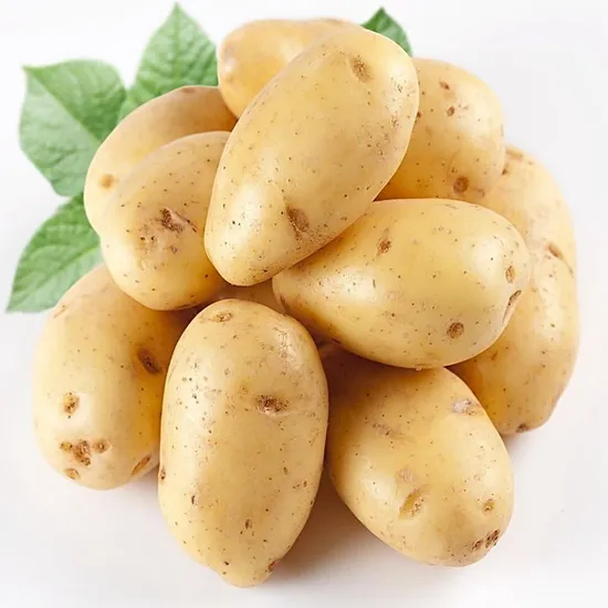 Fresh Harvest Organic Russet Potato Wholesale Bulk Purchase