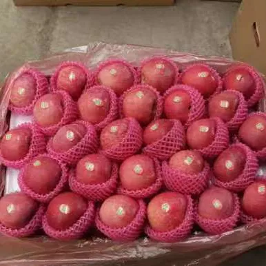 New Crop Top All Red FUJI Apple