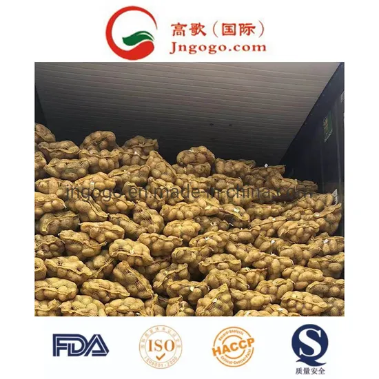 Top Quality Fresh Potato (200g and up, 150-200g)