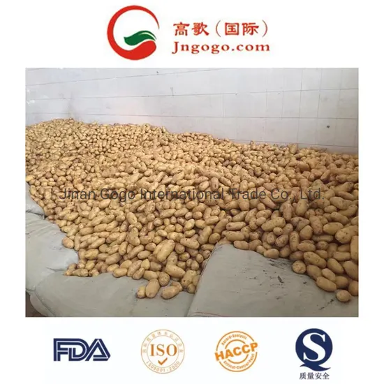 Gogo Potato Flakes for Global Market