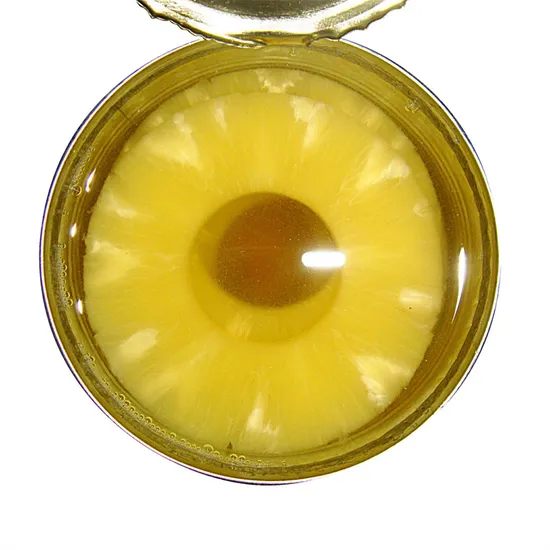 Fresh Canned Fruits Canned Pineapple Slice in Light Syrup 425g/820g