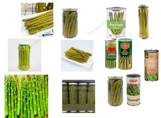 Premium Canned Green Asparagus Spears with Halal and Kosher Labels