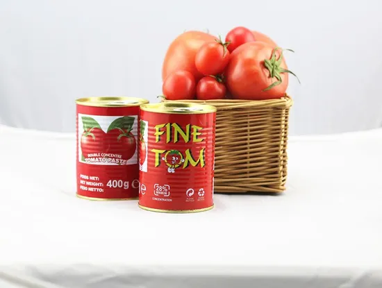 High Quality Canned Tin Tomato Paste 400g Manufacturer