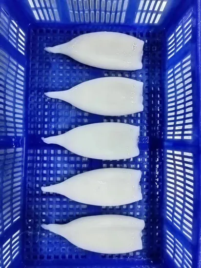 Frozen Seafood Illex/Gigas/Todarodes Squid/Calamari/Calamar/Pota/Sotong Tube