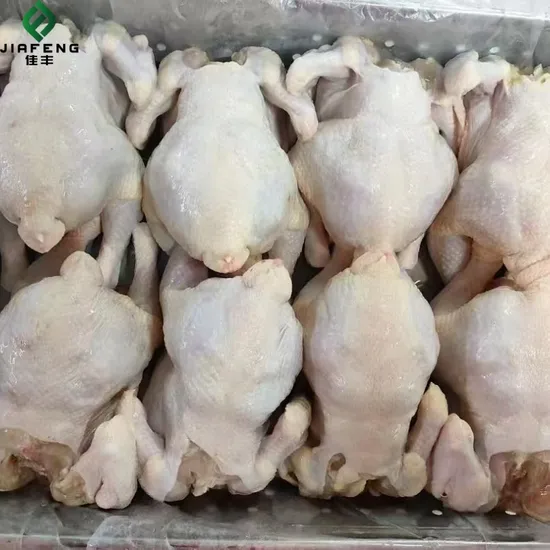 Frozen Chicken Legs, Hand - Slaughtered Various Flavors Frozen Chicken