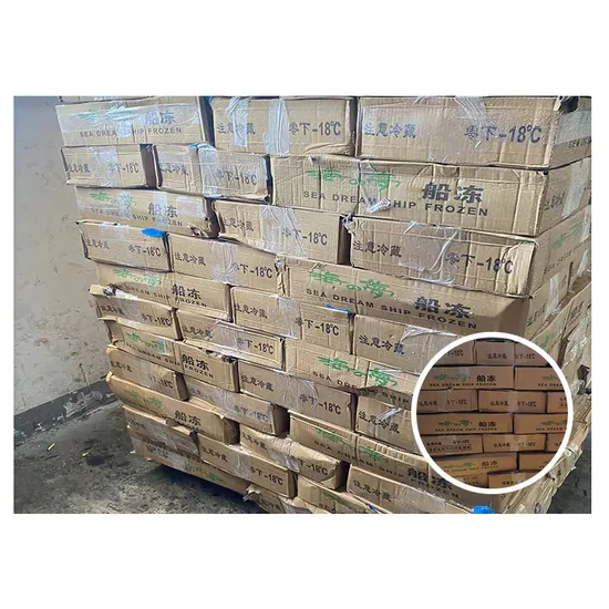 Marine Fish Fresh Big Size Mackerel Frozen Hot Sale