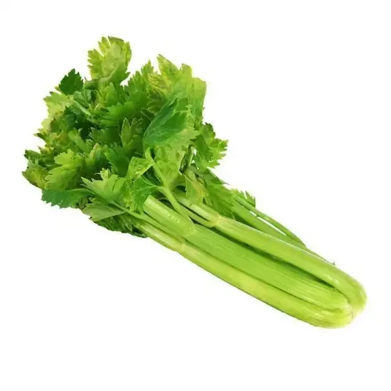 IQF Died Celery, Frozen Celery 10*10 mm