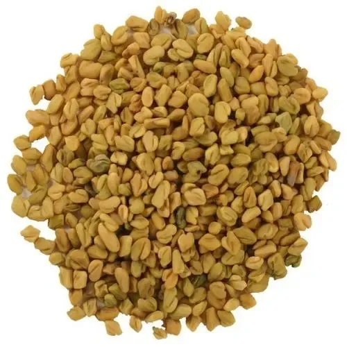 Top Quality Dry New Crop Hight Quality Fenugreek Seed & Powder