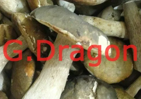 Canned Champignons Whole in Brine