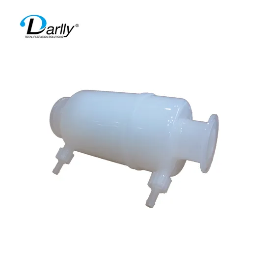 PP/Pes/Hydrophobic PTFE Kleenpack Capsule Filter for Food and Beverage Pharmaceutical