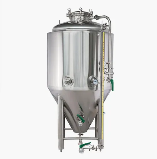 Easy to Operate Stainless Steel Beer Biology Fermenter/ Tank