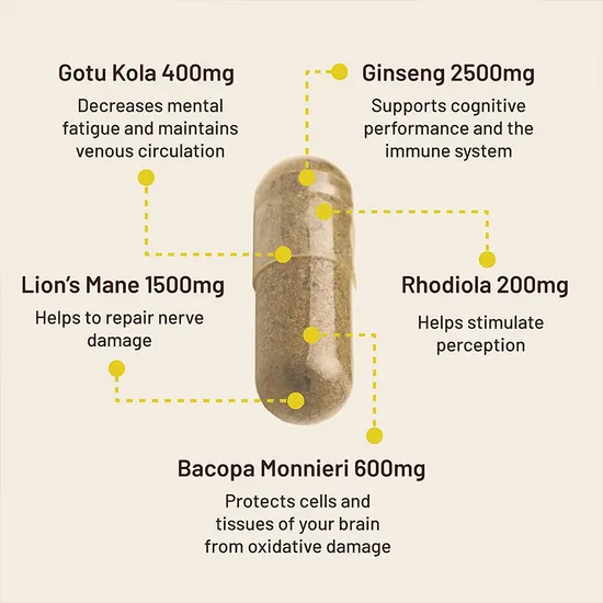 OEM/ODM/Obm Health Brain Supplement Hericium Erinaceus Lion′s Mane Powder Mushroom Capsules