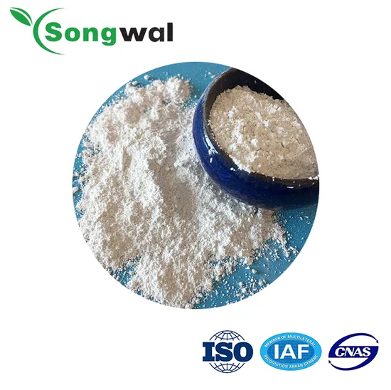 Bulk Food Grade Calcium Propionate Food Grade White Powder White Granular CE