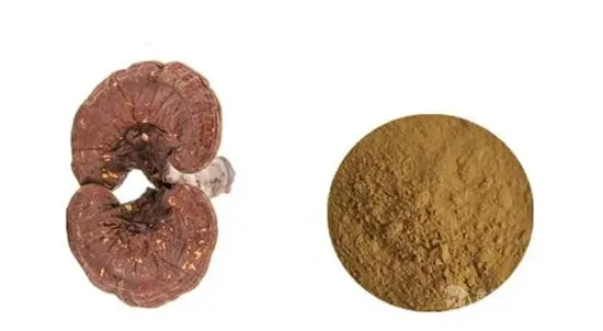 Reishi Extract Powder with Polysaccharides Factory Supply 10: 1 Lingzhi Extract Powder 50% Polysaccharide Reishi Extract Powder