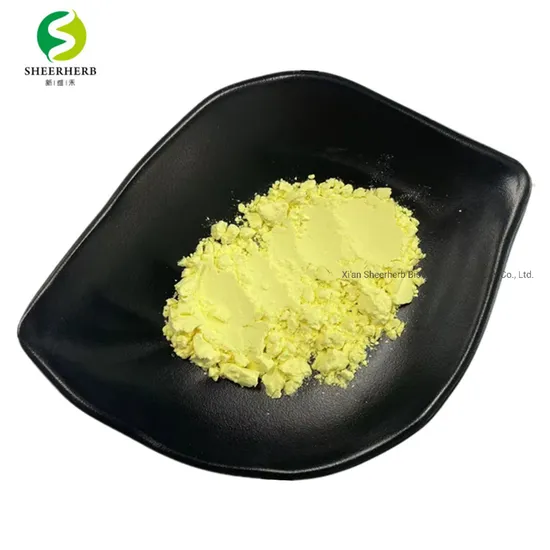 Free Sample 30% 70% Kava Extract Powder Kava Extract Powder