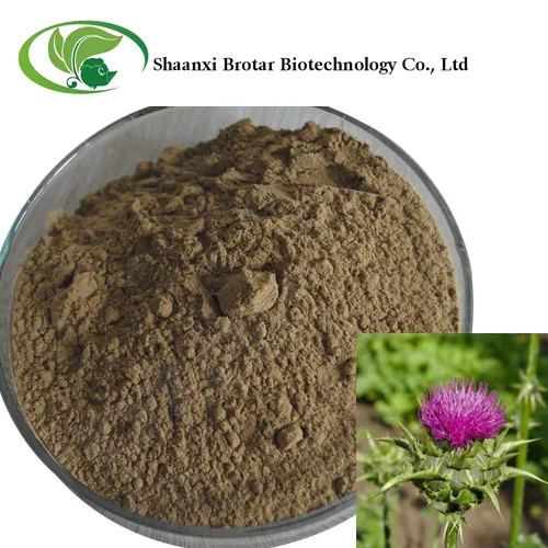 Brotar Supply Natural Plant Extract Milk Thistle Extract CAS 84604-20-6 Silybum Marianum Extract Powder