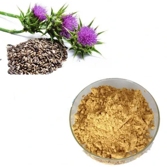Pure Silybin From Milk Thistle Seed Silybum Marianum Silybin