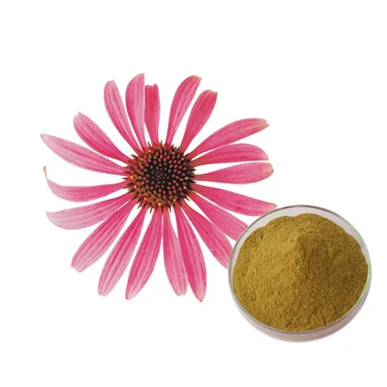 Factory Supply 2023 New Product Echinacea Purpurea Extract 100% Echinacea Polyphenol Powder