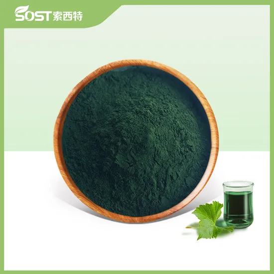 Xi`an SOST Biotech Best Selling Bulk Unicity Chlorophyll Powder
