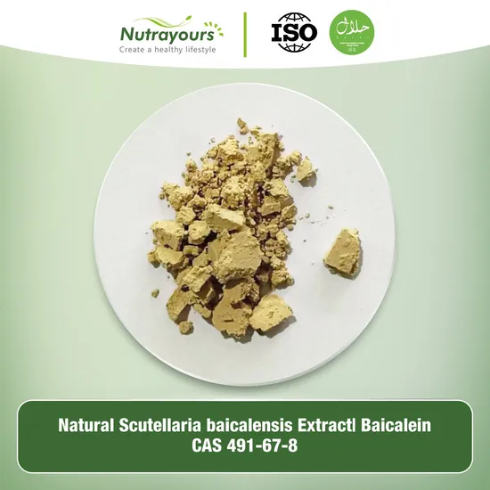 Natural 98% Baicalein Scutellaria Baicalensis Root Extract