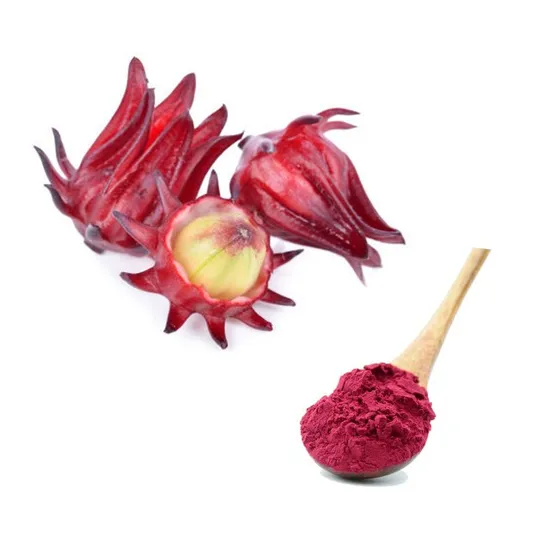 Hibiscus Roselle Cosmetics Food Additive Skin Care Plant Extract Powder