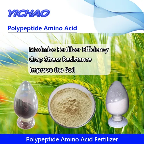 Plant Growth Regulator Polypeptide Extract Organic Fertilizer Increase Alfalfa/Rye-Grass/Barley/Pennisetum/Sudanense Quality for Cow/Sheep Improve Milk Quality