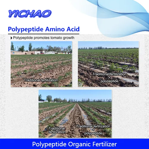 Polypeptide Soluble Fertilizer for Crops/Fruits/Vegetables Improve Crop Resistance System Against Natural Disasters