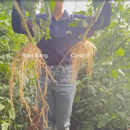 Seaweed Liquid Root Fertilizer Root Promoter