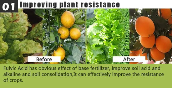 Agriculture Water-Soluble Fertilizer Containing Humic Acid