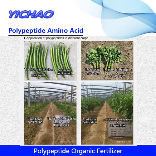 Leaf Fertilizer Agriculture Biostimulant Fertilizers to Increase Corn/Potatoes/Zucchini/Asparagus/Lettuce/Pumpkin/Kale Vc Content and Yield