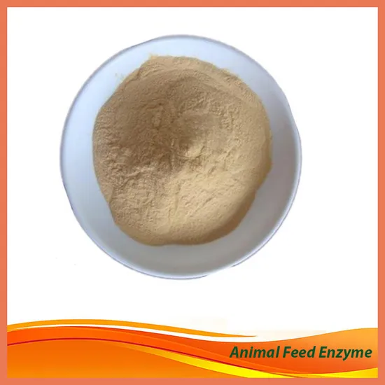 Feed Grade Enzyme Phytase Enzyme CAS 37288-11-2 Feed Additive for Animals