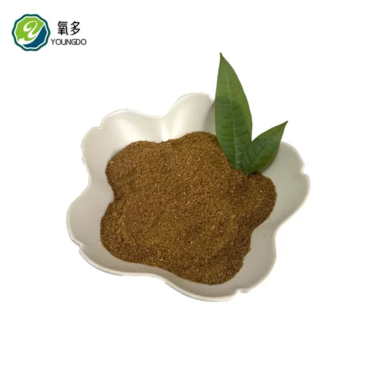 Maize Ddgs Distillers Dried Grains with Solubles (Animal Feed)