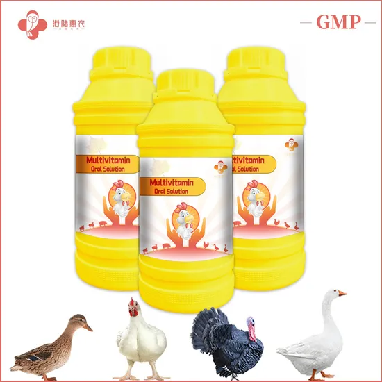 Shanghai Ganglu Huinong Biotechnology Veterinary Medicine Feed Additives Multivitamin Water Soluble Powder for Chickens Poultry