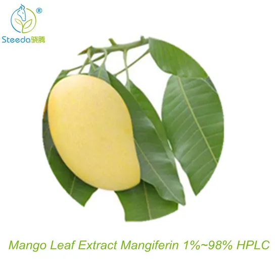 Manufacturer of High Quality Mango Leaf Extract Mangiferin Bulk