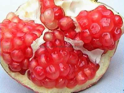 Pomegranate Extract Polyphenols 80%